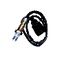 Oxygen Sensor (Rear)